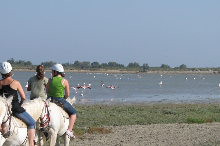 Se balader à cheval pour visiter la Camargue