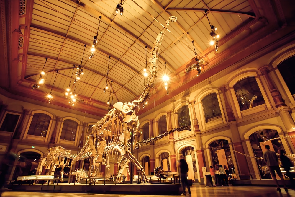 Squelettes géants de Brachiosaurus et de Diplodocus dans la salle des dinosaures, musée d'histoire naturelle, Berlin