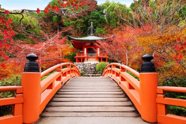 Assurance voyage pour le Japon : notre guide complet