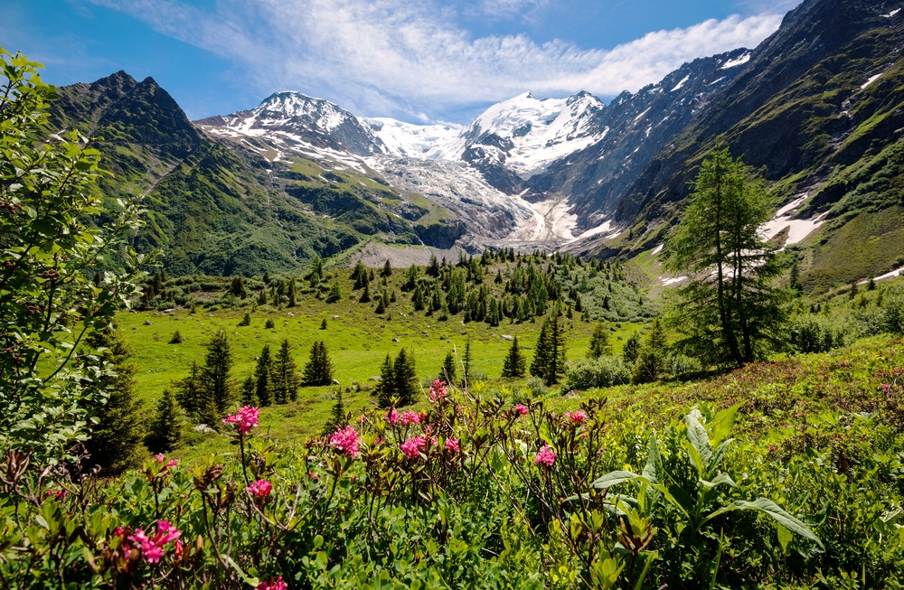 Vue imprenable sur les Alpes françaises, partie du célèbre trek - Tour du Mont Blanc