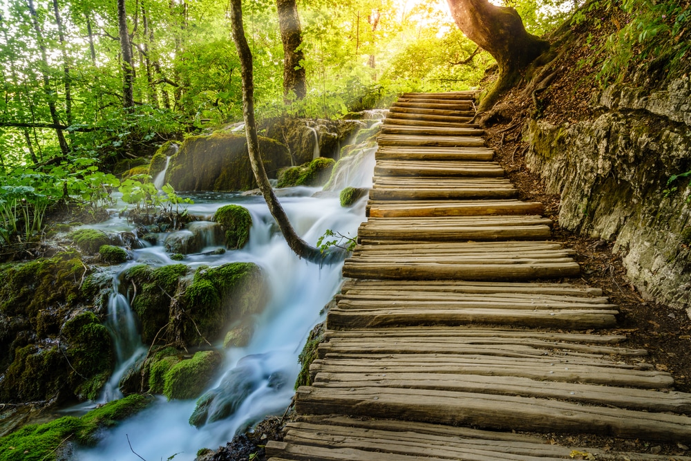 Les plus belles forêts d'Europe : promenade le long d'un lac au sein de la forêt de Plitvice