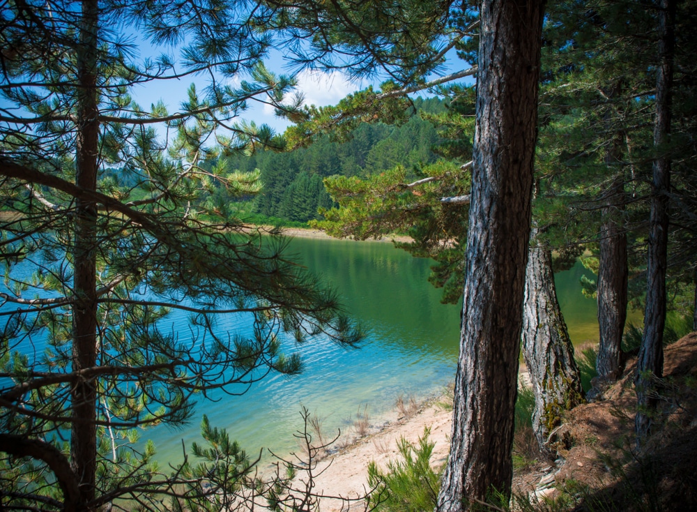 Le Lac Arvo dans les bois de Sila, Italie