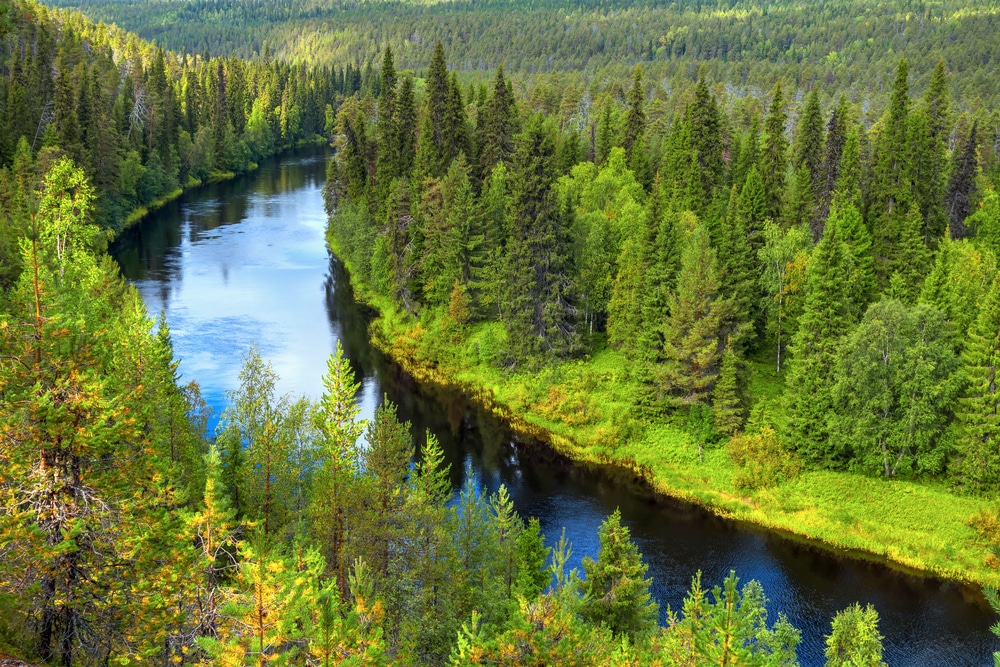 Courbe de la rivière d’Oulanka et son parc national, Finlande