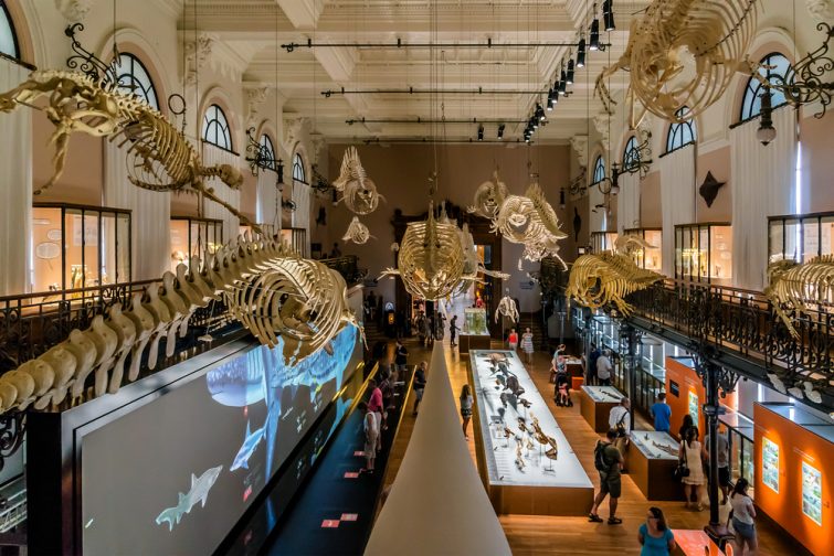 Aquariums de France : Musée océanographique de Monaco