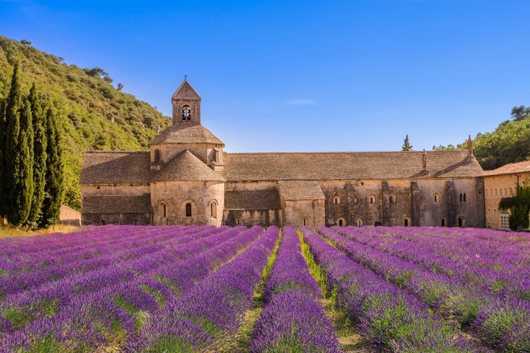 Les 13 choses incontournables à faire dans le Vaucluse Les 13 choses incontournables à faire dans le Vaucluse