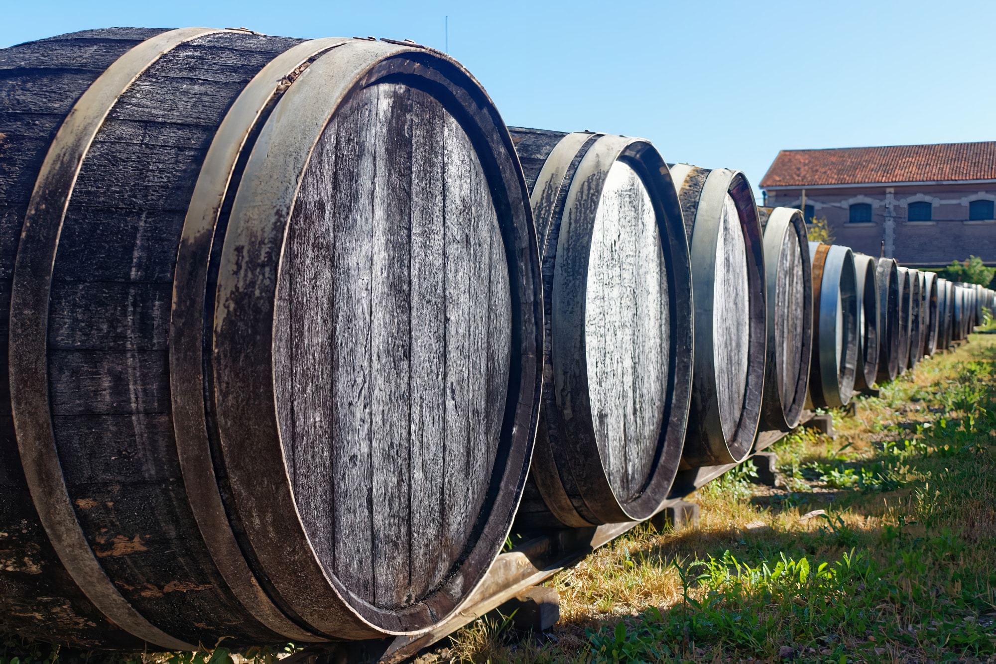 Vieux tonneaux de chêne en extérieur, visiter les vignobles de l'Armagnac.