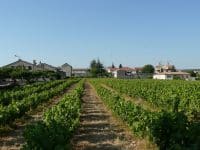 Vignobles d'Occitanie