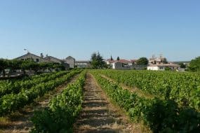 Vignobles d'Occitanie