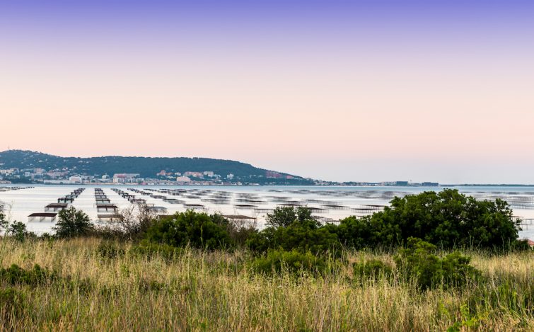 Balade équestre à Sète