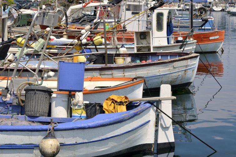 Bateau à Cavalaire-sur-Mer 4