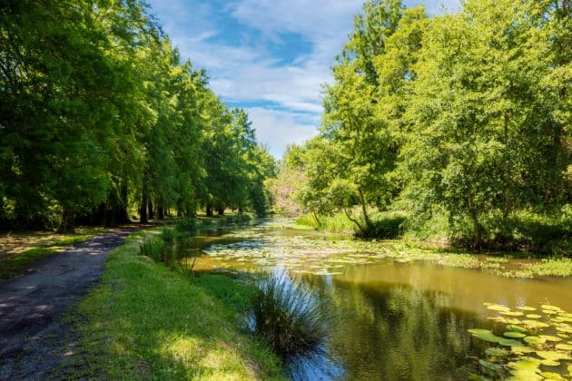 Visiter les Landes : le lac de Soustons