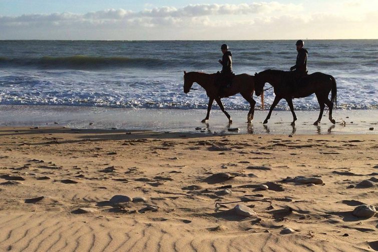 Balade en cheval sur l'Île de Ré