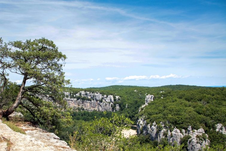 Visiter l'Ardèche Le bois de Païolive