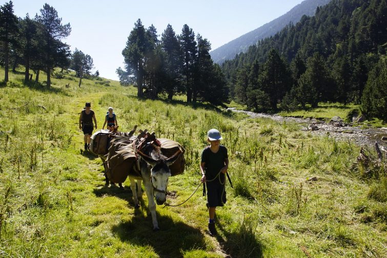 Visiter le Pic du Canigou : Randonnée guidée au Pic du Canigou : Randonnée à dos d'âne