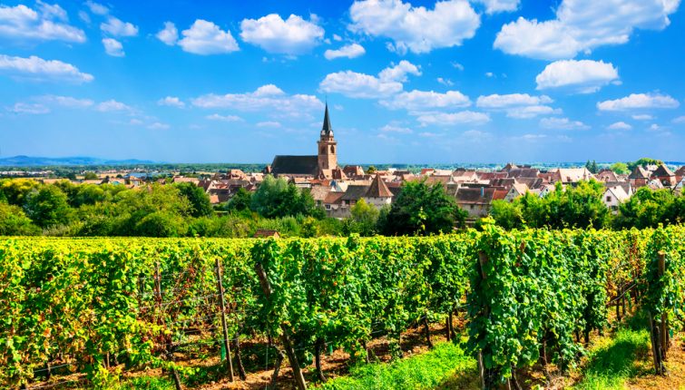 route des vins d’Alsace