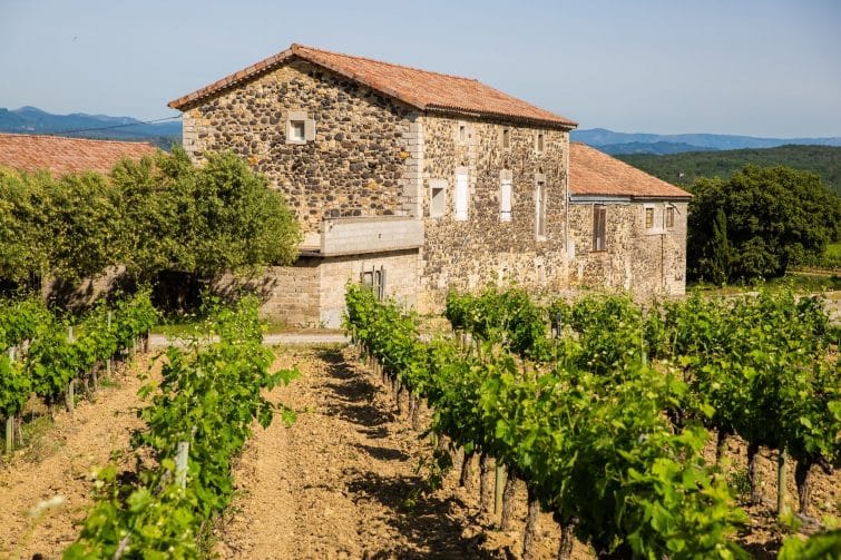 vignobles ardéchois