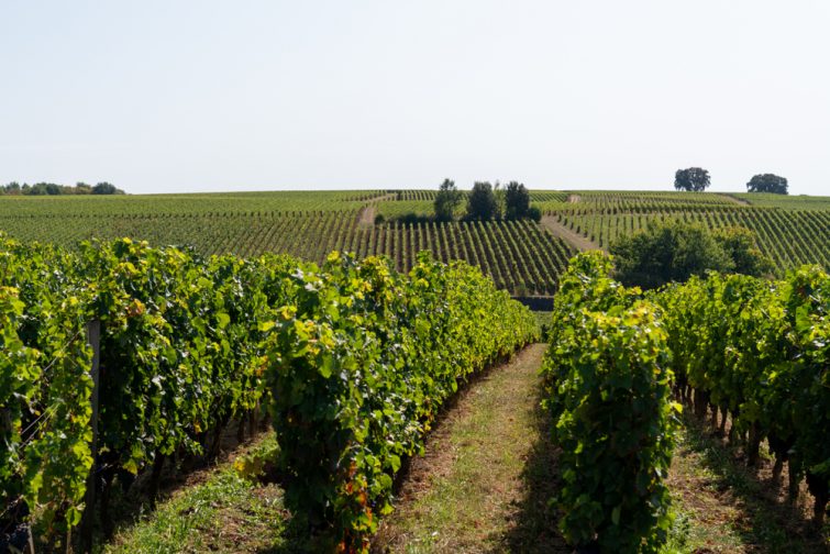 Nouvelle-Aquitaine