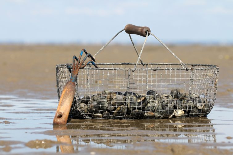 Pêche Noirmoutier
