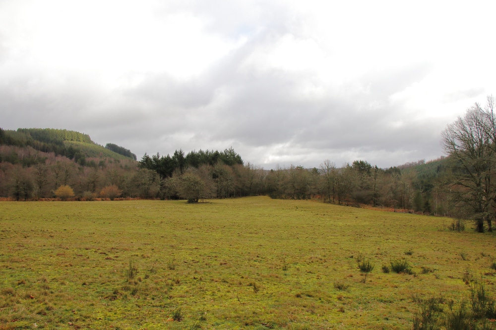 Visiter le Parc Naturel Régional de Millevaches guide complet