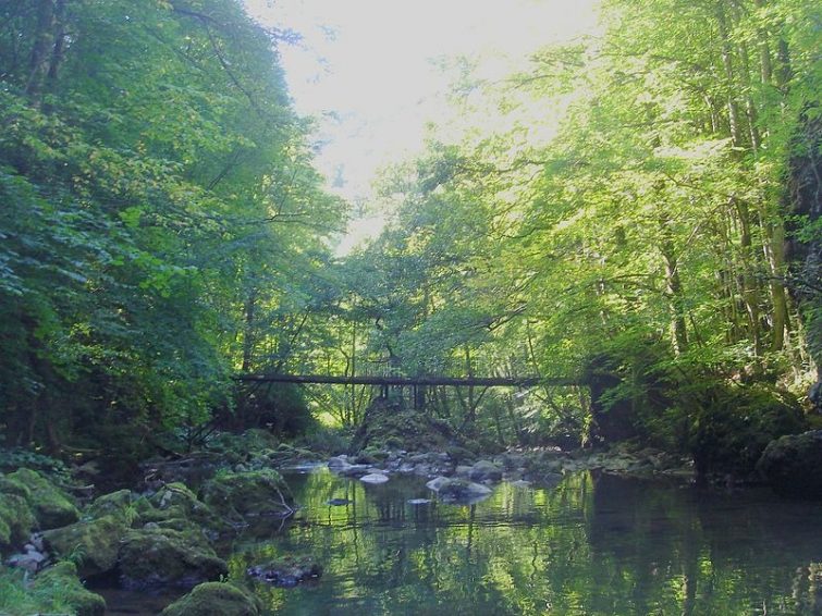 Pas de Cère - visiter Cantal
