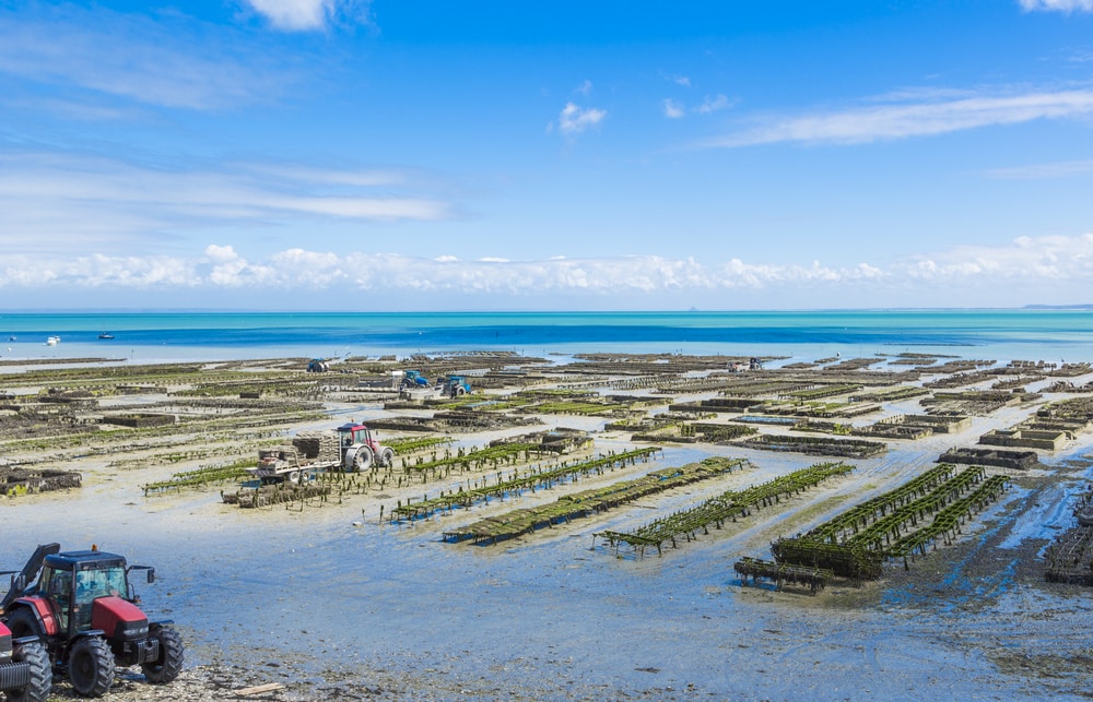Cancale