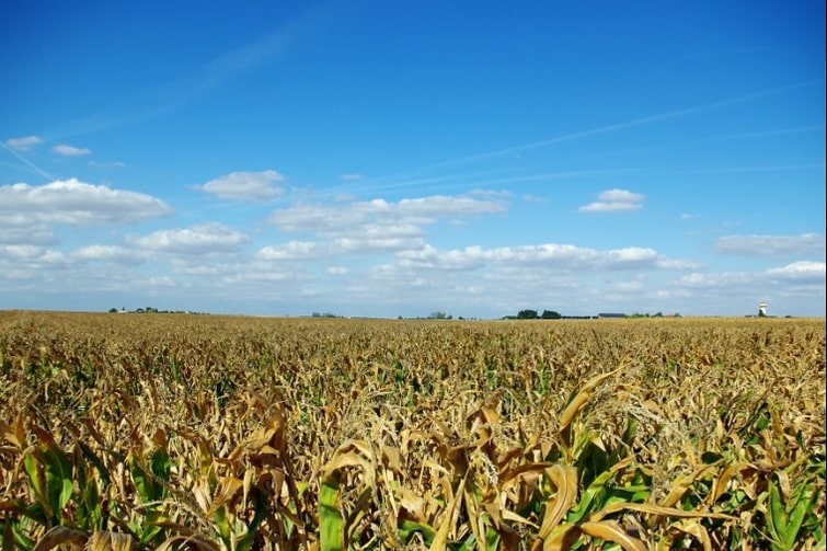 visiter Eure-et-Loir - Route du blé Beauce