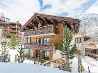 Unique Ski-In-Ski-Out Chalet Apartment