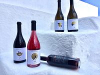 Déguster du vin à Santorin : les meilleur vignobles