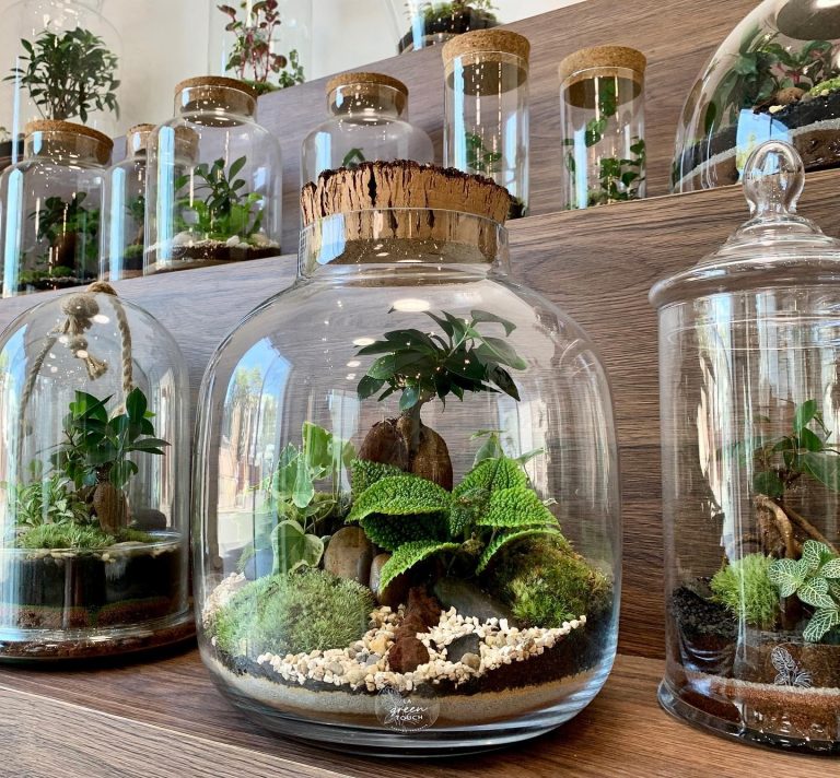 8 ateliers pour créer son terrarium à Paris