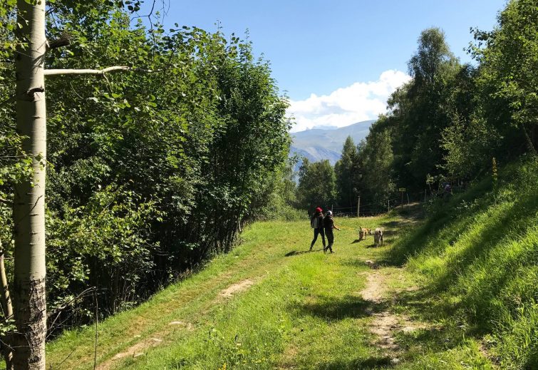 Cani-rando 2 Alpes
