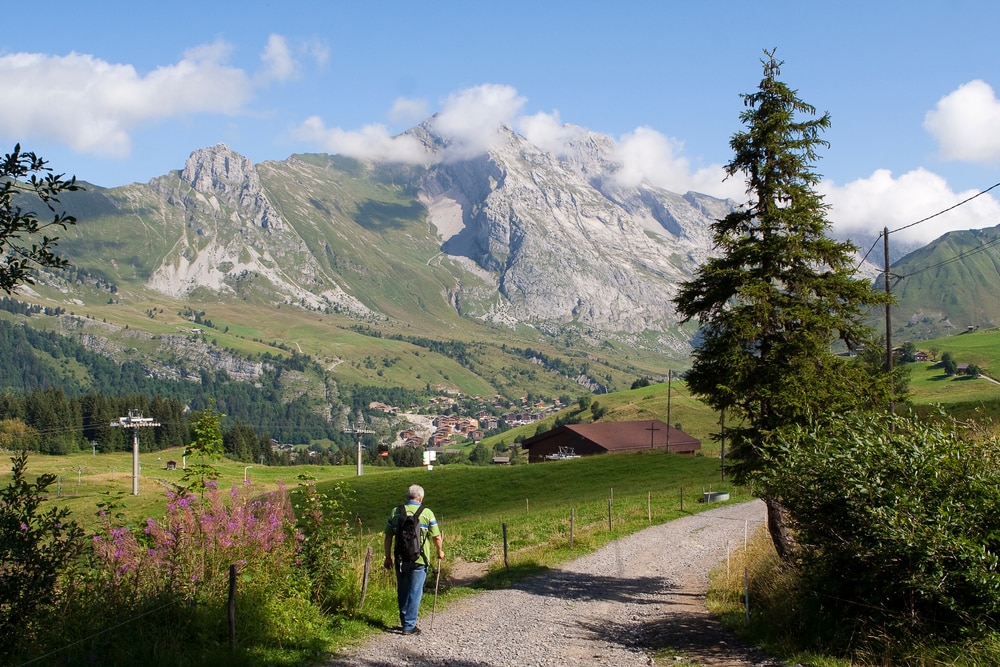 Marche Nordique Grand Bornand