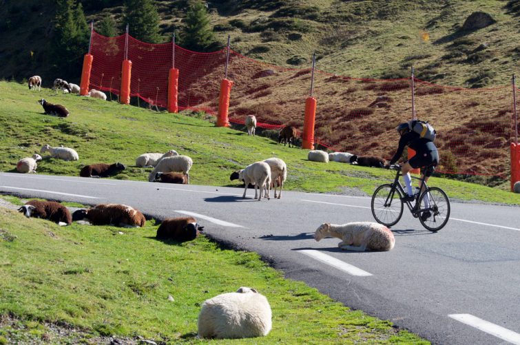 Cycliste montant le col du Tourmalet, Pyrénées