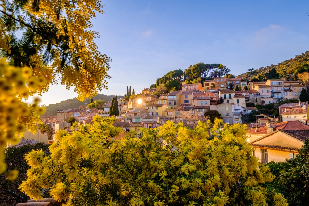 Bormes-les-Mimosas-france