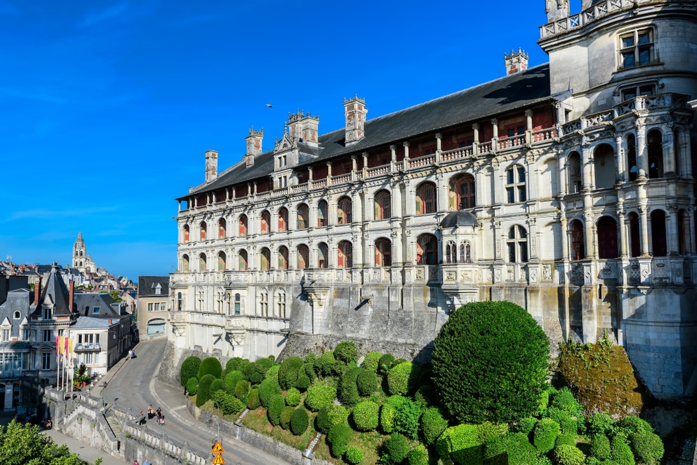 Chateau de Blois