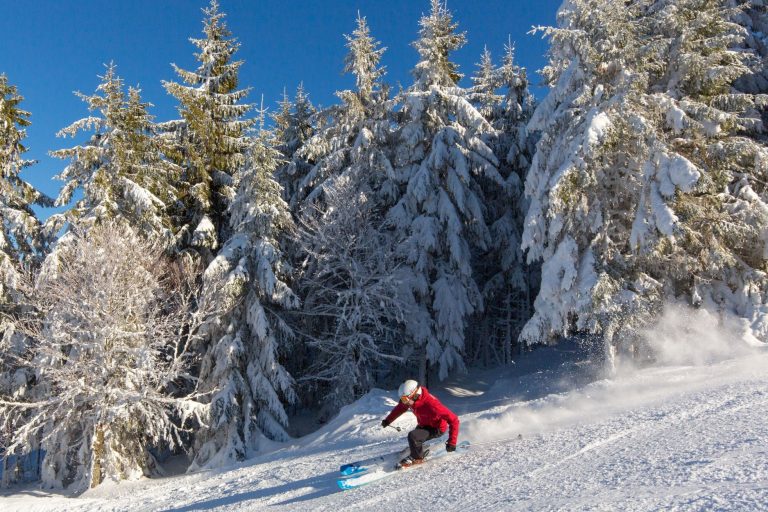 Les Meilleures Stations De Ski Des Vosges