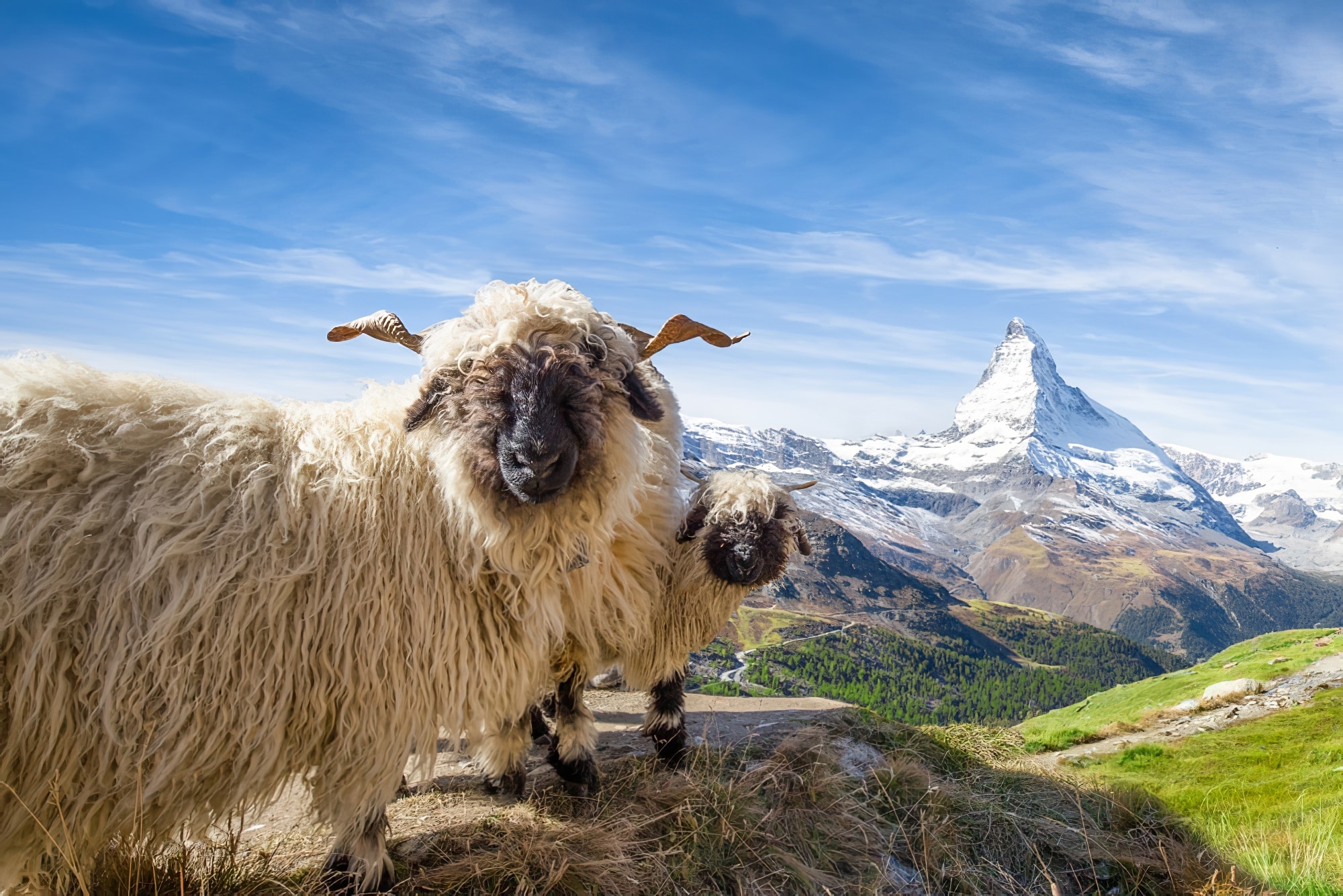 Le Valais