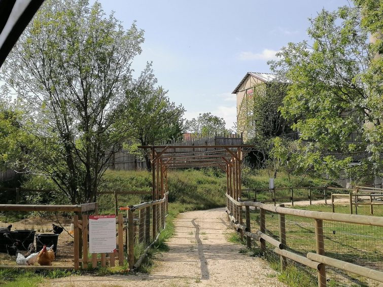 Parc animalier des Gorges de l'Ardèche