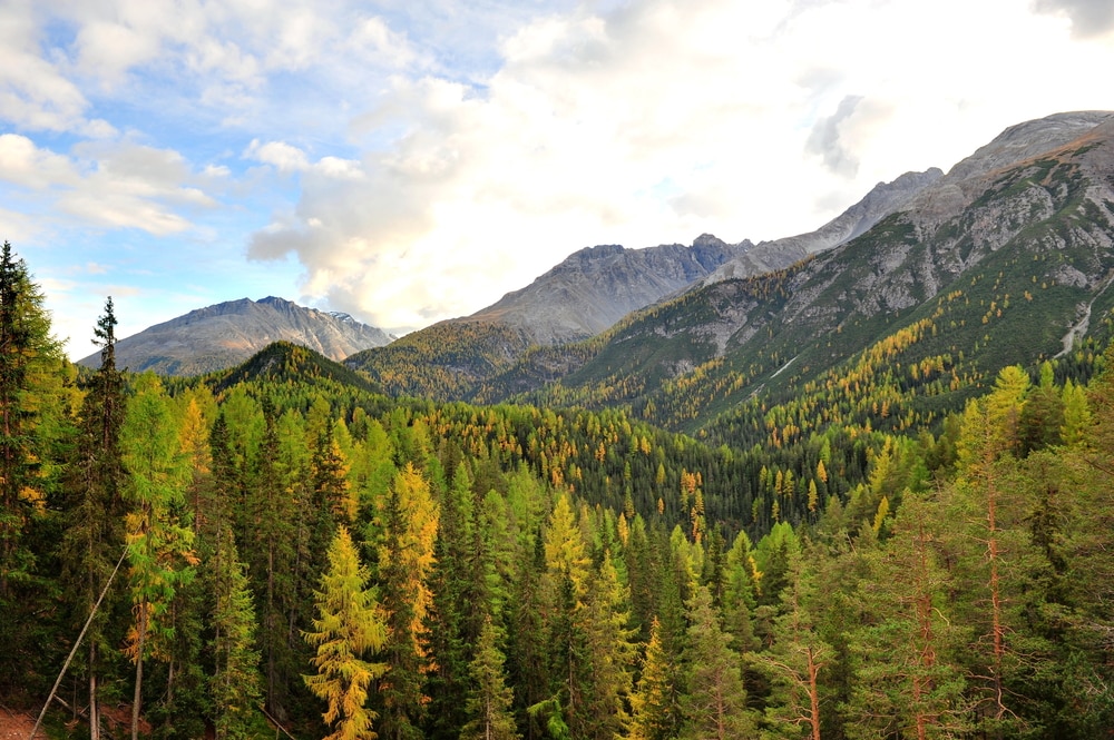 Les 13 choses incontournables à faire dans Les Grisons