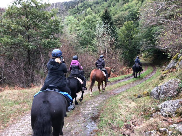 randonnee-equestre-pyrennees