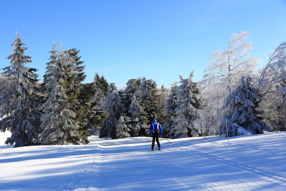 Les Meilleures Stations De Ski Des Vosges