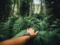Homme dans les branches