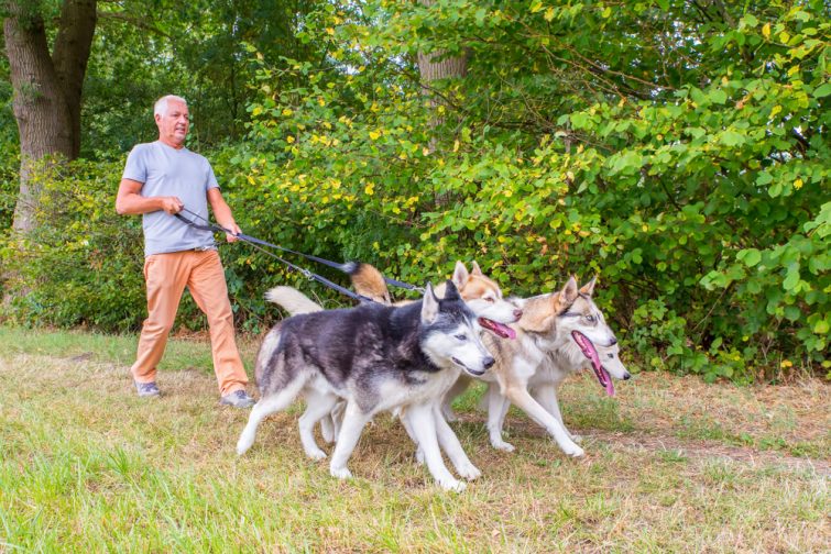 Cani-trail Week-end insolite en amoureux dans les Pyrénées