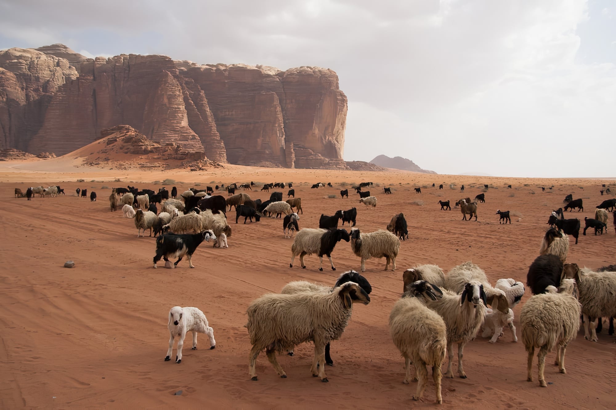 Wadi Rum désert