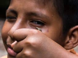 Péninsule Osa enfant grenouille Costa Rica