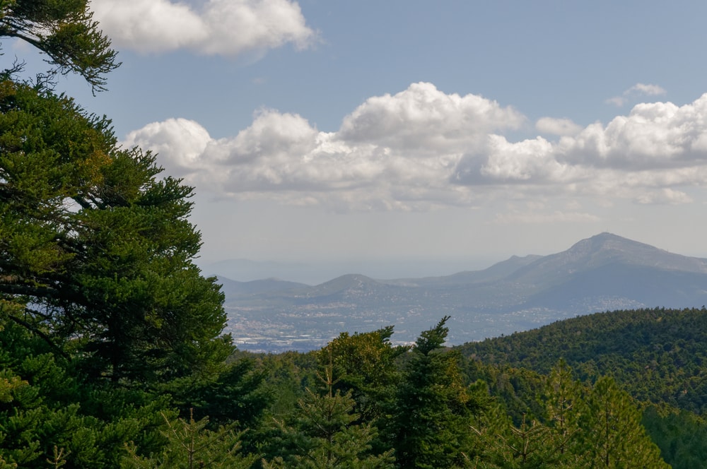 Excursion au Mont Parnitha vers Athènes