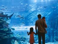 aquarium-montpellier
