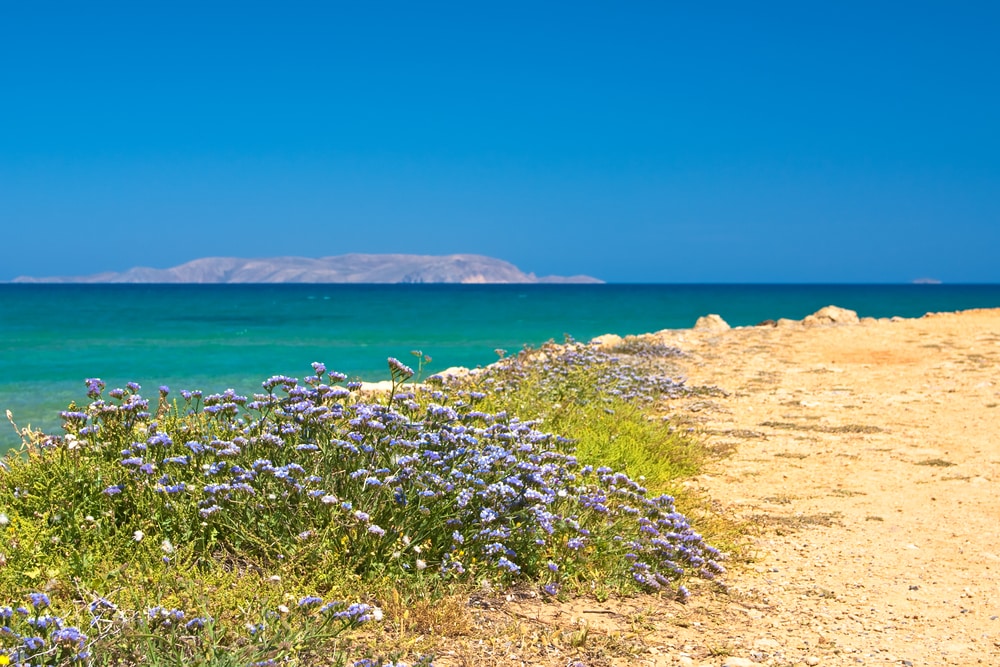 Excursión a Isla Dia