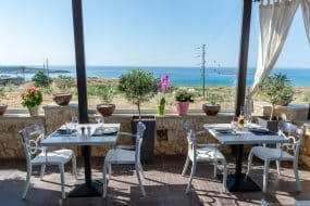 theodosi-restaurant-grece