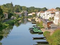 coulon-france