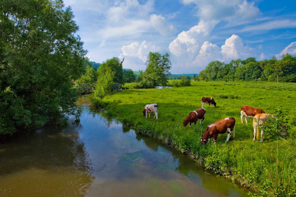 epte